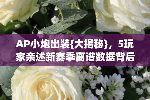 5玩家亲述新赛季离谱数据背后图片