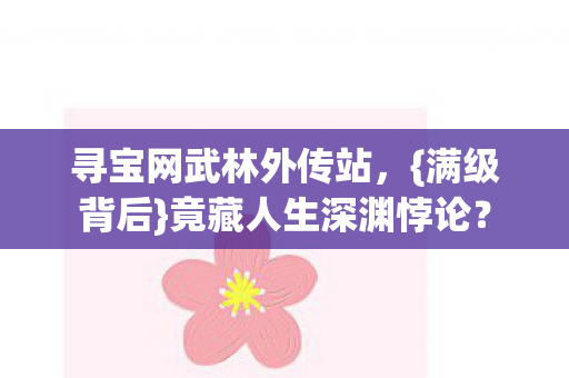 寻宝网武林外传站图片