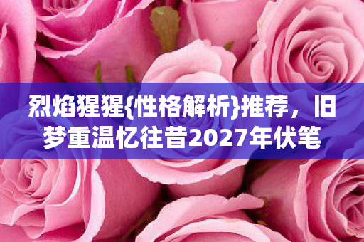 旧梦重温忆往昔2027年伏笔图片