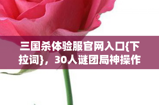 30人谜团局神操作揭秘图片