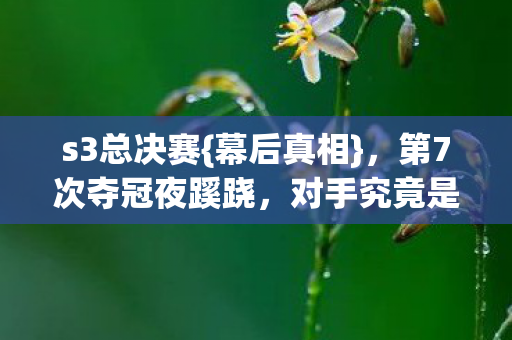 第7次夺冠夜蹊跷图片