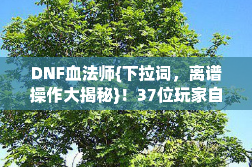 37位玩家自曝技能CD疑云图片
