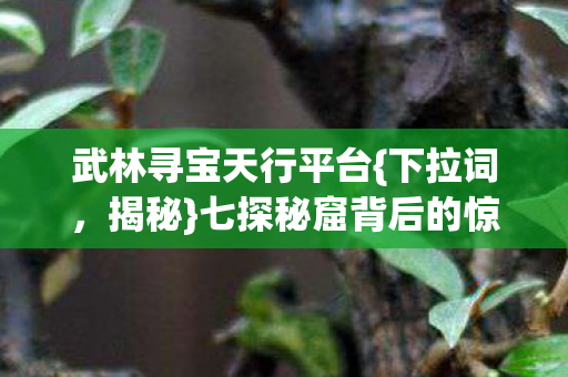 七探秘窟背后的惊天真相图片