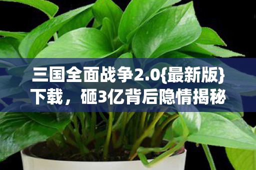 砸3亿背后隐情揭秘图片