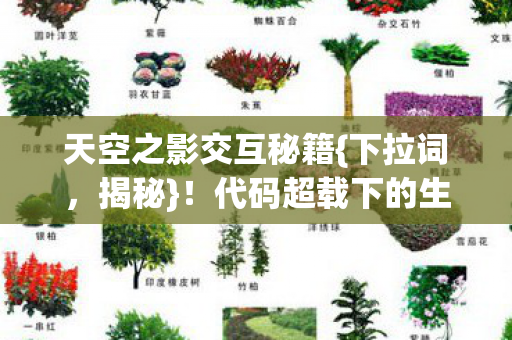 代码超载下的生存法则图片