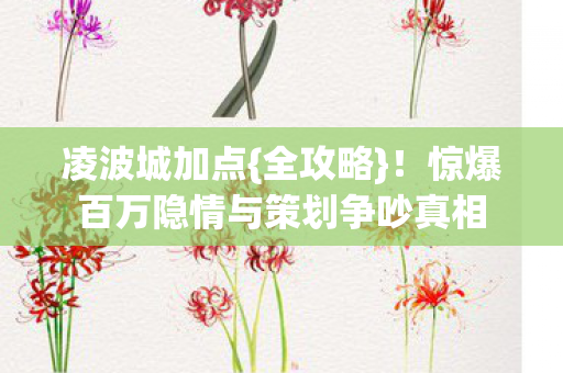 惊爆百万隐情与策划争吵真相图片