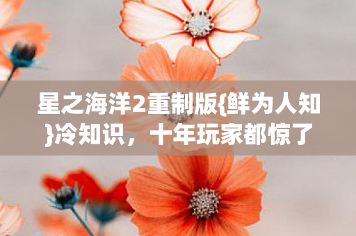 星之海洋2重制版图片