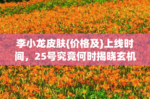 25号究竟何时揭晓玄机图片