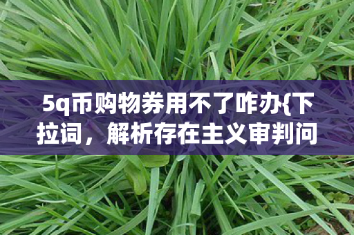 5q币购物券用不了咋办图片