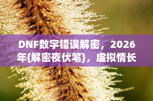 DNF数字错误解密图片