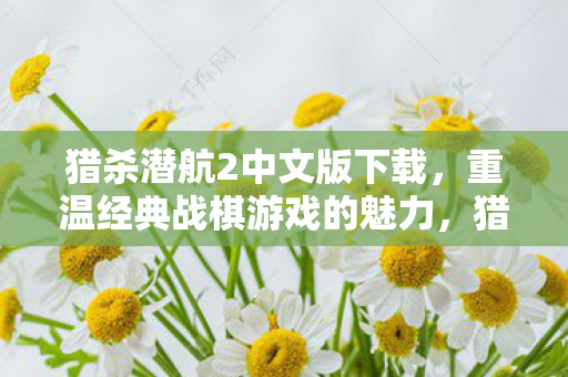 猎杀潜航2中文版下载，重温经典战棋游戏的魅力，猎杀潜航2中文版下载，重温经典战棋游戏魅力