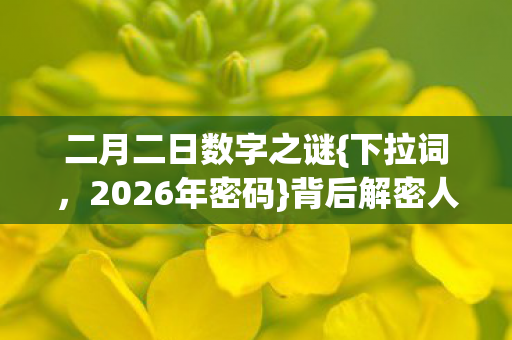 二月二日数字之谜图片