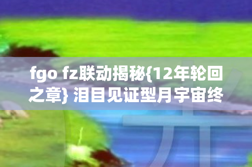 fgo fz联动揭秘图片