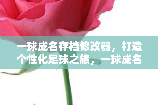 一球成名存档修改器，打造个性化足球之旅，一球成名存档修改器，个性化足球之旅的打造工具