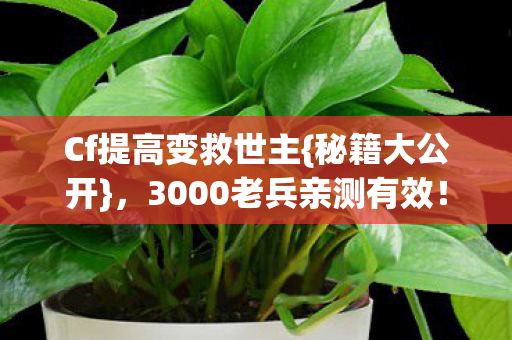3000老兵亲测有效图片