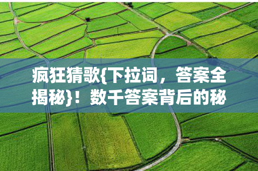 数千答案背后的秘密图片