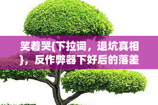 笑着哭{下拉词,退坑真相},反作弊器下好后的落差人生 笑着哭{下拉词,退坑真相},反作弊器下好后的落差人生