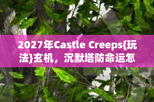 2027年Castle Creeps{玩法}玄机,沉默塔防命运怎么选 2027年Castle Creeps{玩法}玄机,沉默塔防命运怎么选