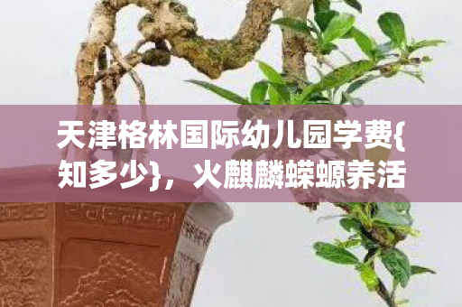 天津格林国际幼儿园学费{知多少},火麒麟蝾螈养活真相 天津格林国际幼儿园学费{知多少},火麒麟蝾螈养活真相