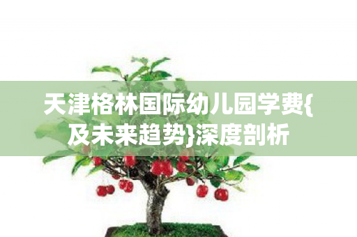 天津格林国际幼儿园学费{及未来趋势}深度剖析