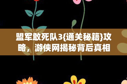 盟军敢死队3{通关秘籍}攻略，游侠网揭秘背后真相