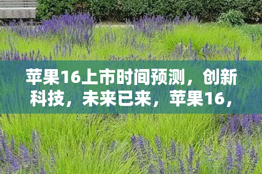 苹果16上市时间预测图片