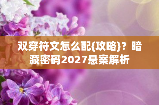 双穿符文怎么配{攻略}?暗藏密码2027悬案解析 双穿符文怎么配{攻略}?暗藏密码2027悬案解析