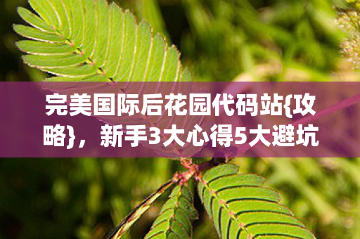 新手3大心得5大避坑指南图片