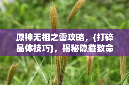 原神无相之雷攻略，{打碎晶体技巧}，揭秘隐藏致命真相！