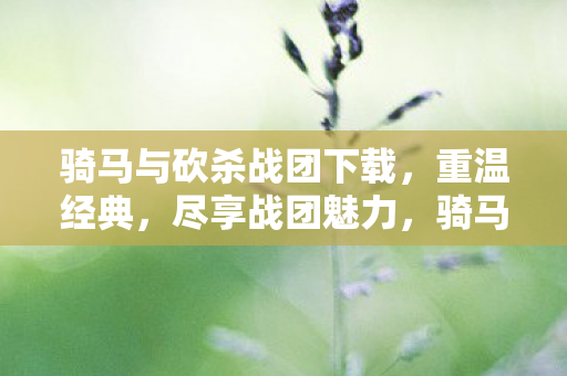 骑马与砍杀战团下载图片