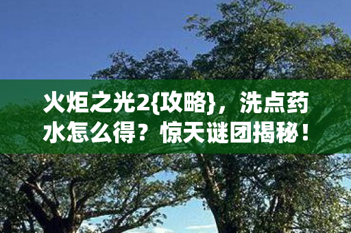 洗点药水怎么得图片