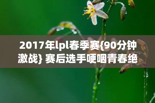 2017年lpl春季赛图片