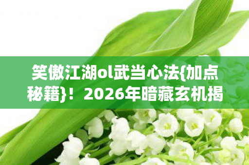 笑傲江湖ol武当心法{加点秘籍}！2026年暗藏玄机揭秘