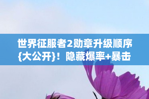 世界征服者2勋章升级顺序{大公开}！隐藏爆率+暴击机制揭秘