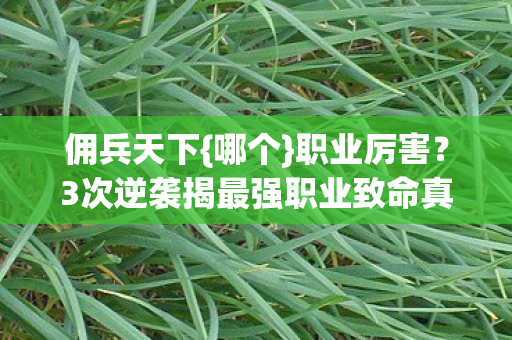 3次逆袭揭最强职业致命真相图片