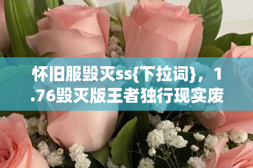 76毁灭版王者独行现实废墟图片