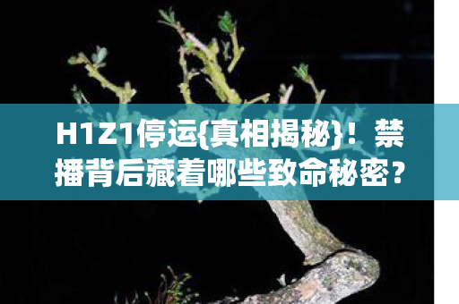 禁播背后藏着哪些致命秘密图片