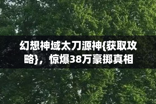 惊爆38万豪掷真相图片