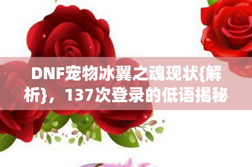 DNF宠物冰翼之魂现状图片