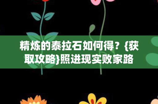 精炼的泰拉石如何得图片