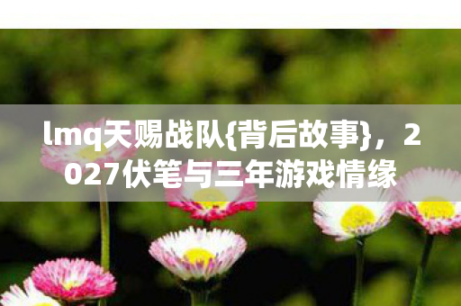 lmq天赐战队{背后故事}，2027伏笔与三年游戏情缘
