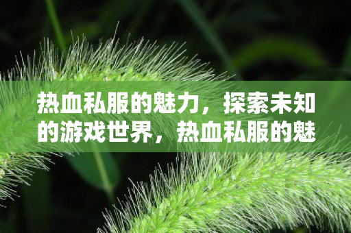 热血私服的魅力,探索未知的游戏世界,热血私服的魅力,探索未知游戏世界 热血私服的魅力,探索未知的游戏世界,热血私服的魅力,探索未知游戏世界