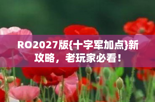 RO2027版{十字军加点}新攻略,老玩家必看! RO2027版{十字军加点}新攻略,老玩家必看!