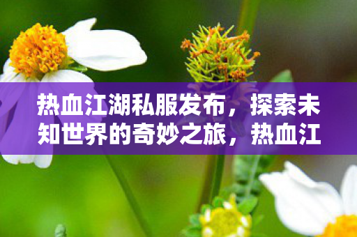 热血江湖私服发布,探索未知世界的奇妙之旅,热血江湖私服,开启探索未知世界的奇妙之旅 热血江湖私服发布,探索未知世界的奇妙之旅,热血江湖私服,开启探索未知世界的奇妙之旅