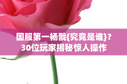 国服第一杨戬{究竟是谁}?30位玩家揭秘惊人操作 国服第一杨戬{究竟是谁}?30位玩家揭秘惊人操作