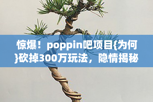 惊爆！poppin吧项目{为何}砍掉300万玩法，隐情揭秘！