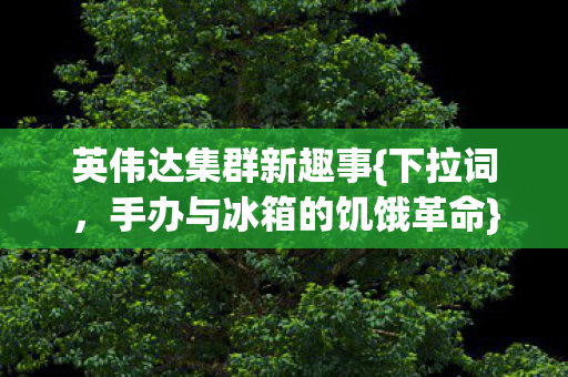 英伟达集群新趣事{下拉词，手办与冰箱的饥饿革命}！
