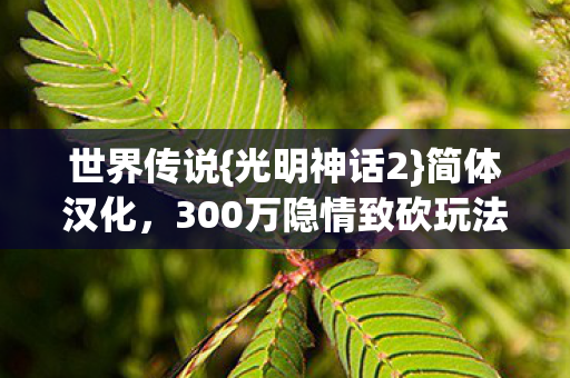 世界传说{光明神话2}简体汉化,300万隐情致砍玩法揭秘 世界传说{光明神话2}简体汉化,300万隐情致砍玩法揭秘