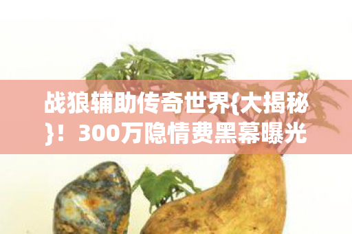 300万隐情费黑幕曝光图片