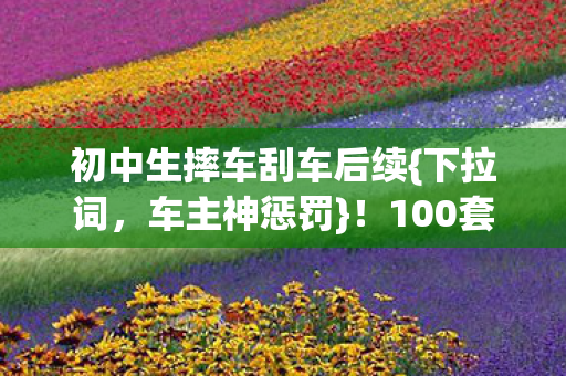 初中生摔车刮车后续图片